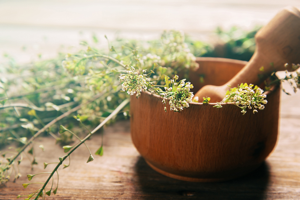 Mortar and pestle - Herb