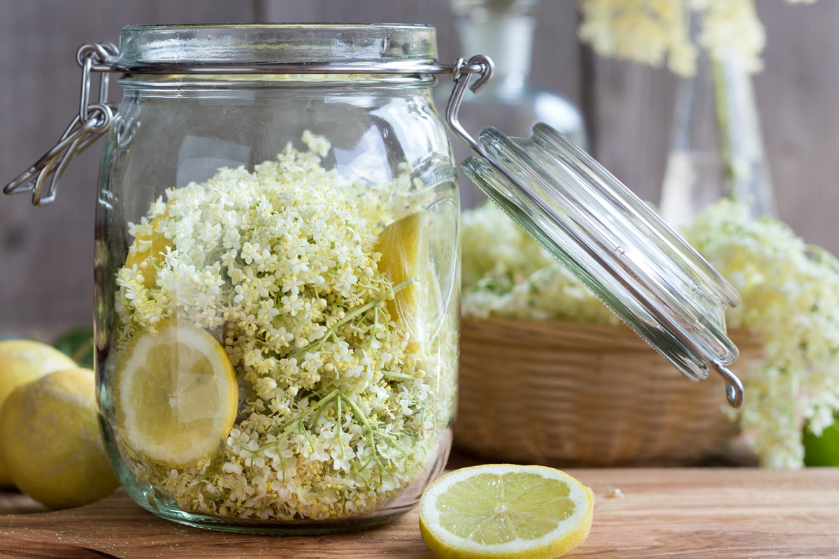 Elderflower cordial - Nalewka