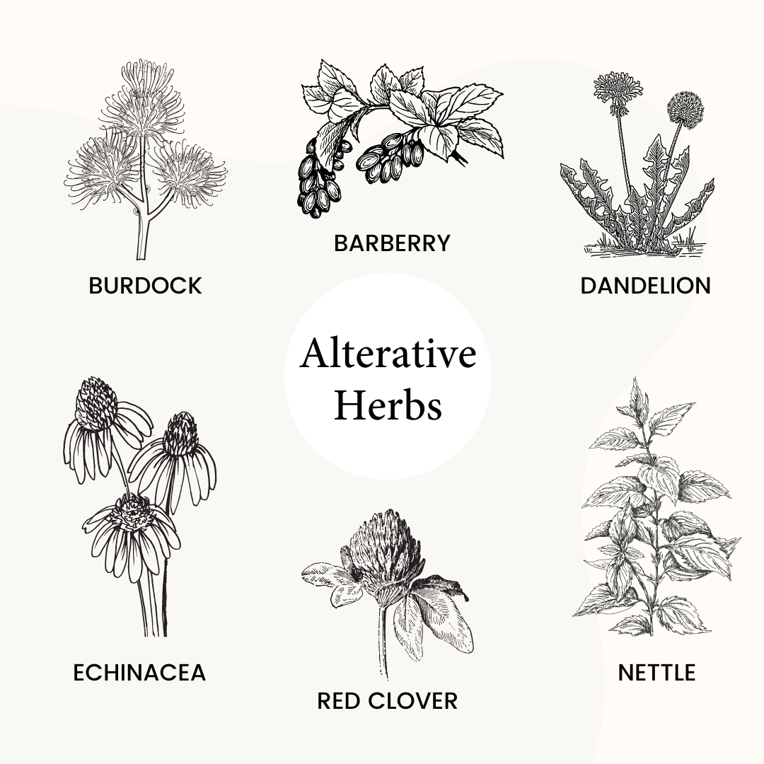 alterative herbs for spring detox