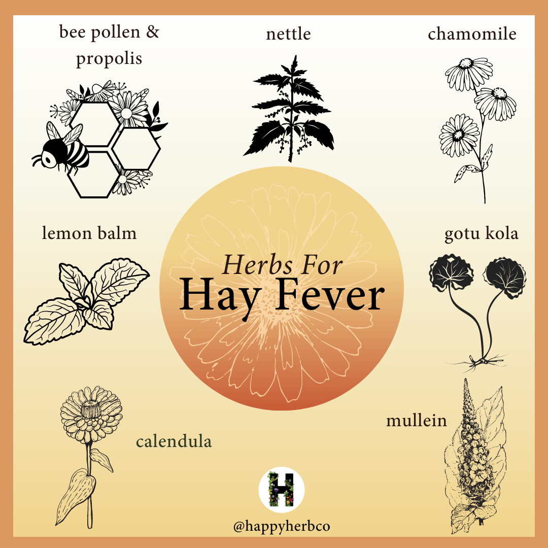 medicinal herbs for hay fever herbal support