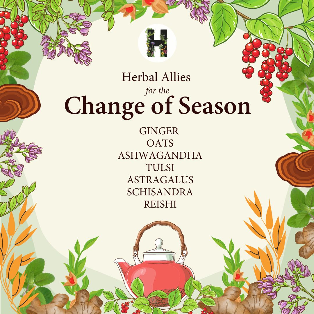 herbal allies for change in season