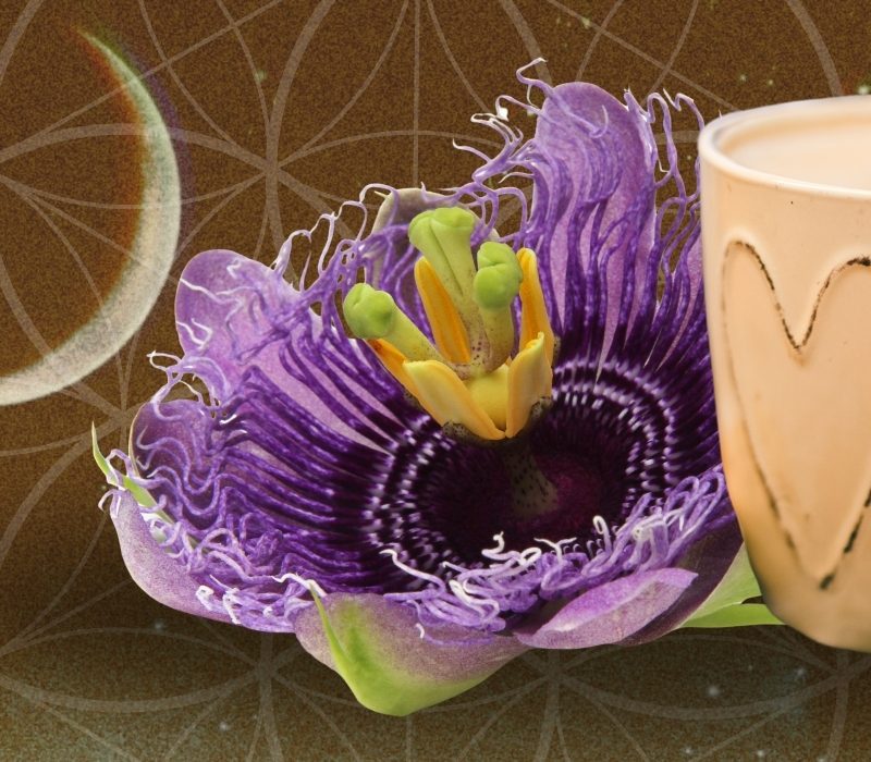 Cup and passionflower on a warm nighttime background