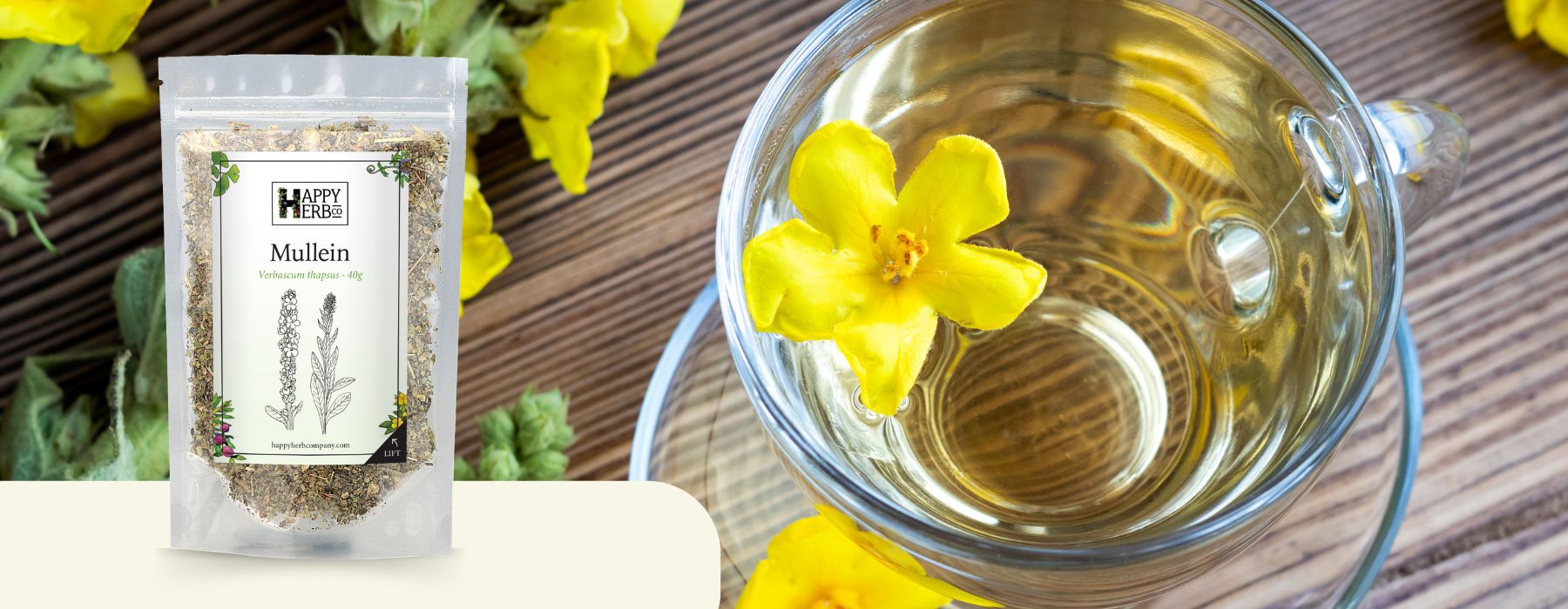 Bag of Mullein herb in front of mullein flowers in tea cup.